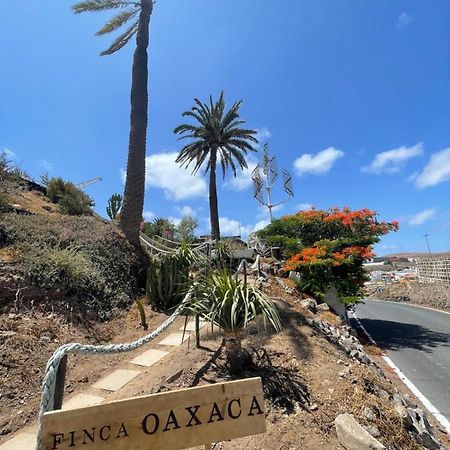 Finca Oaxaca - Casa Iguana 阿格特 外观 照片